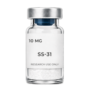 ss 31